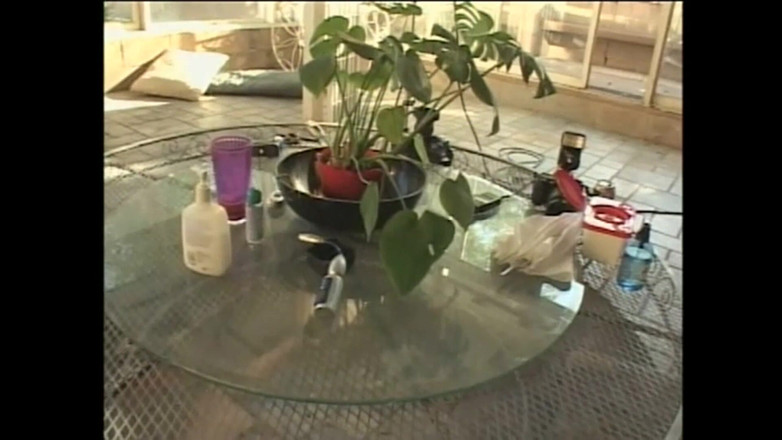 Adultwhisper: Omättlig slampa behöver flera omgångar