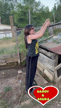 Getting Excited Outside the Chicken Coop