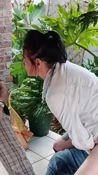 Jardinagem