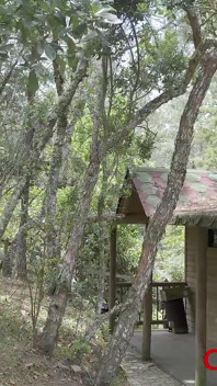 Tukang Kebun-Colombia Bahagian 1
