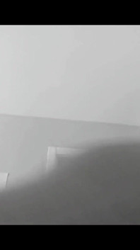 Lying on the Dick