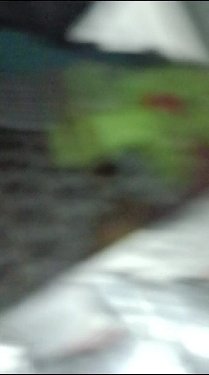 Raani16: 나와 내 마누라의 로맨틱한 섹스 비디오