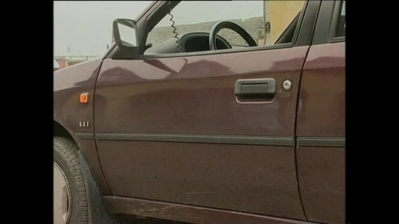 FM Video VOD: Oblíbená nevlastní neteř 