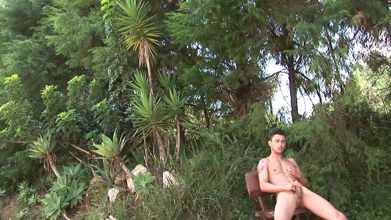 Male Dream: いたずらな軍の男けいれん彼のコック