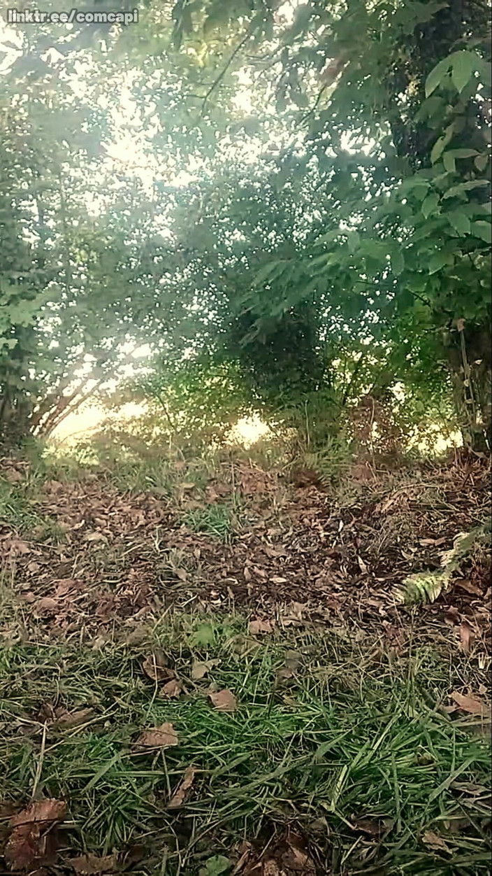 CiccioloBrizzolo: Un paysan se masturbe à l’extérieur