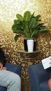 Мясистая милфа Richelle Ryan взламывает нового ебаря и принимает его молодой член
