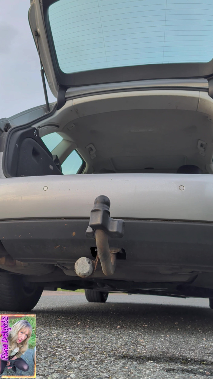 Fiona of Delights: Towbar Joy