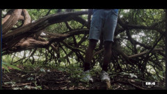 Boy Wonder: 3987809160.mp4