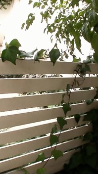 Japan Teen Himari Gives Caretaker Outdoor Blowjob