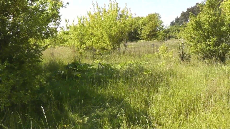 XXX-Platinum: Beautiful Naked MILF Outdoor Solo Masturbation with Strong Orgasm