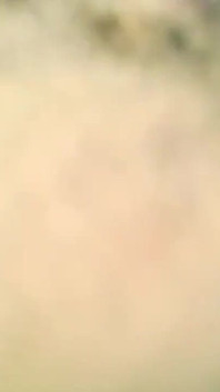 Hot Male POV Cumshow the Afterwork