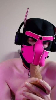This Could Be Your Cock in Hound's Mouth