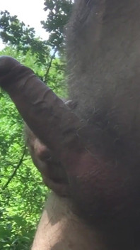 Outdoor Masturbation in the Wood, Hairy Big Dick