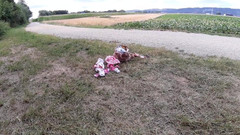 sweetfeet29: Sessione Estiva Parte 1