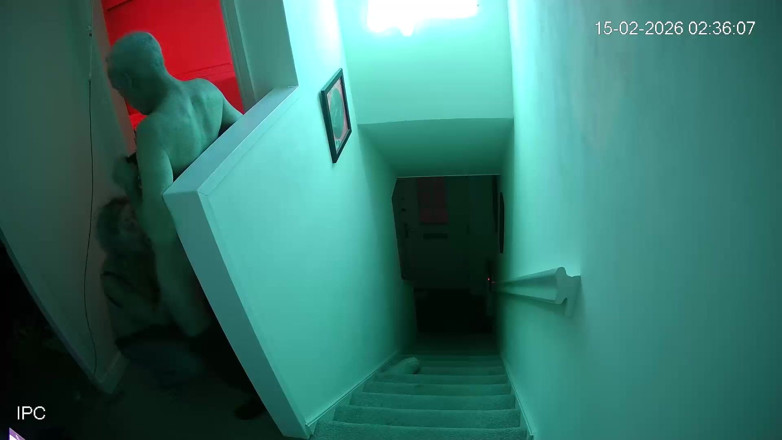 SilverFux: Caught on Security Cam Cheating Woman Flirts and Fucks on...
