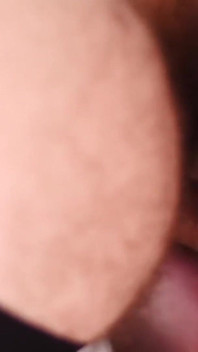 BEARFILMS - der behaarte hengst harper Davis raw fickt mit schwulem liebhaber