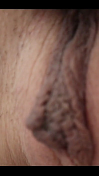 Kočička se předvádí se svou kočička