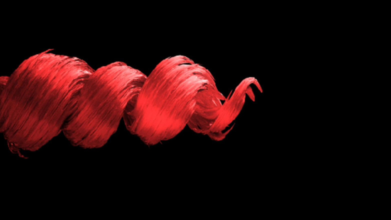 Rex Ringo XXX Productions: Интервью за кулисами с легендарной суперзвездой порнозвездой Violet Monroe