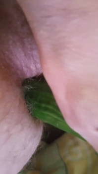操我的屁股