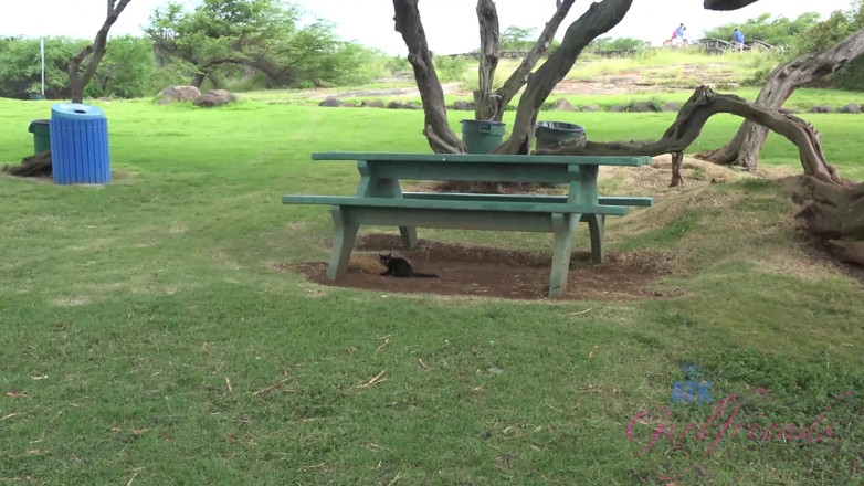 ATK Fans (Girlfriends): Virtual vacation in hawaii with alexa grace part 1