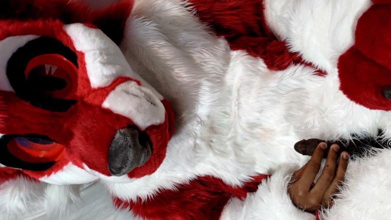 PawgrammerSocks: Furry in Full-body Fursuit Pisses on You, Then Cums Over...
