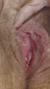 A Little Pussy Teasing