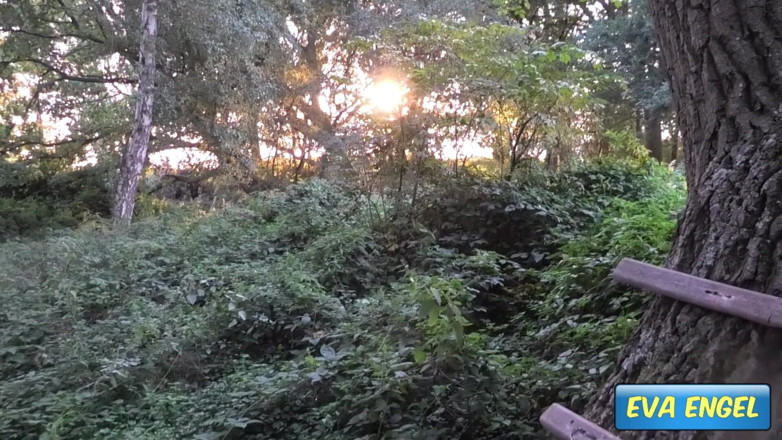 Eva Engel: Bogel dalam hutan
