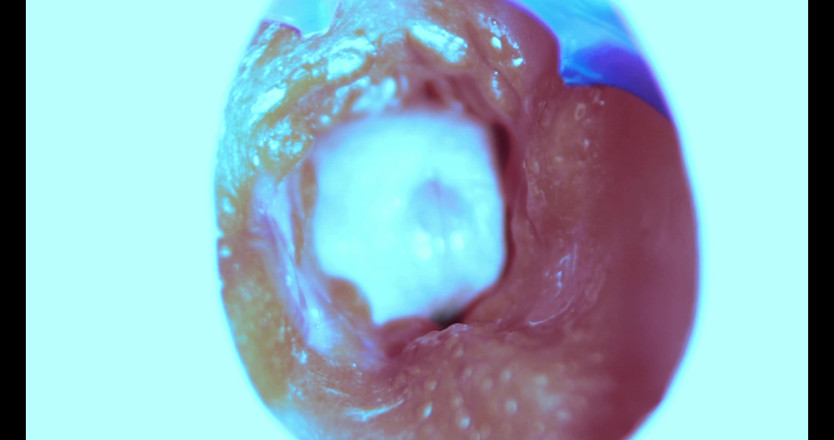 SEXY_GUYBEST: なんて中からヤリまくるんです!カメラが中!