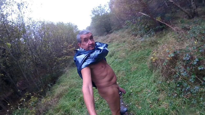 Andy: Dia molhado na floresta