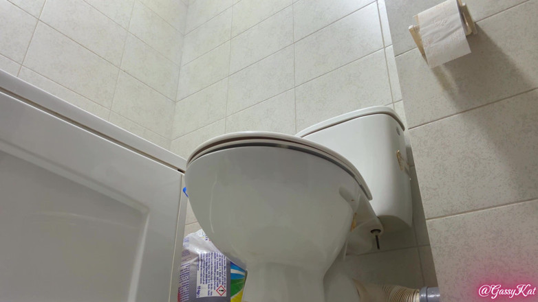 GassyKat: The Daily Toilettes, saison 3, épisode 3