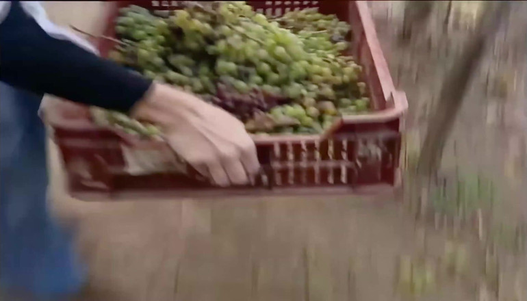 Antonio Adamo Film: Begehre nicht den Hintern der Frau deines Freundes 2