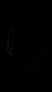 Squirt dans la nuit