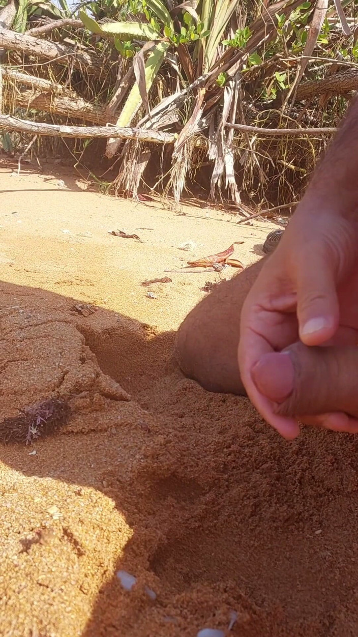 Ladysilvas: Ladysilva Masturbating His Cock on a Deserted Beach Until He...