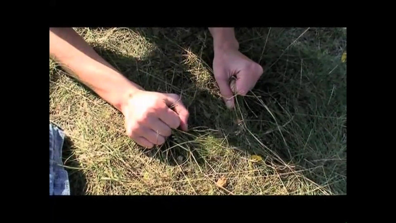 Forte porno TV xxx - (Just the best full movies): Eski Hâlâ Zor! (tam Film HD Versiyonu)