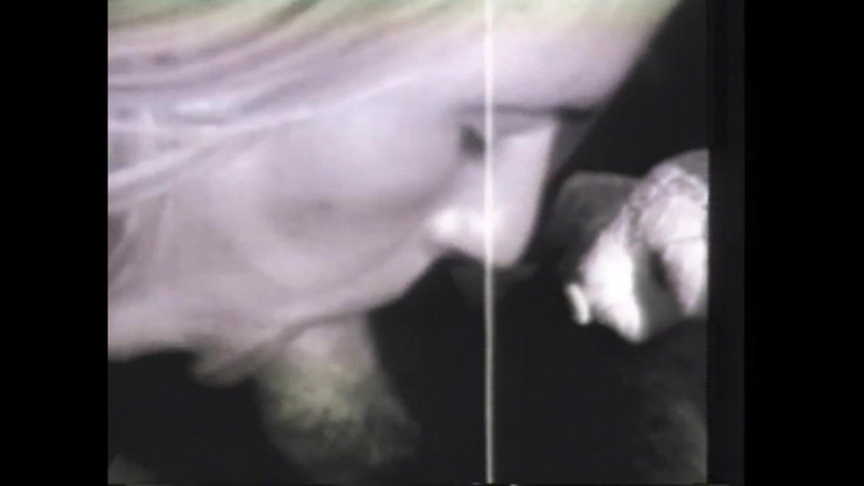 Vintage Megastore Full hd: Pengisap yang Menggugah Selera