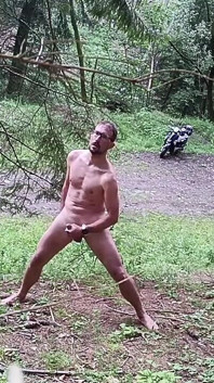 Wild Slovak Nature