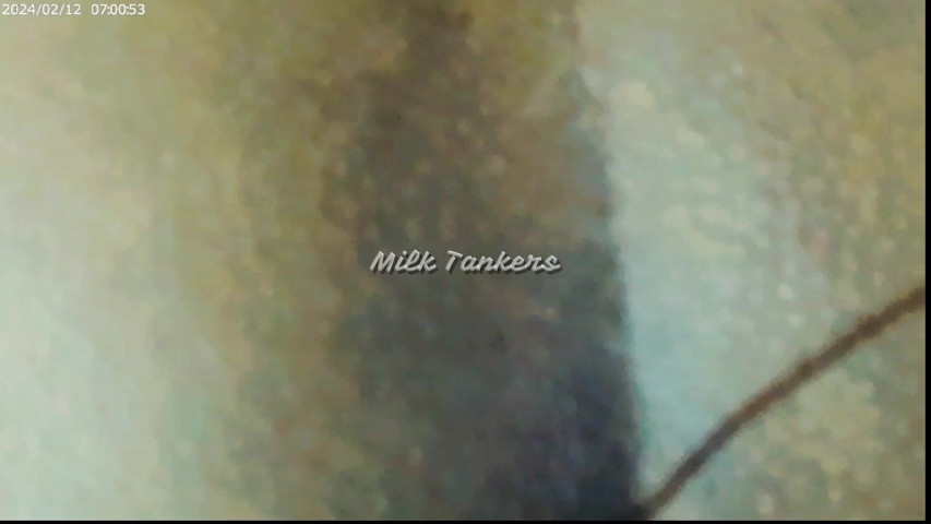 Relationship with Neighbor 2 (Milk Tankers) Relationship with Neighbor 2 (Milk Tankers)