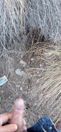 Piscio Rischioso, Ho Dovuto Urinare in Un Campo Dietro Alcuni Appartamenti Perché Il Mio Cazzo Aveva Bisogno Di Fare Pipì.