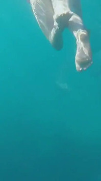Underwater Love