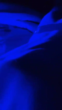 Guy Humping Bed Blanket