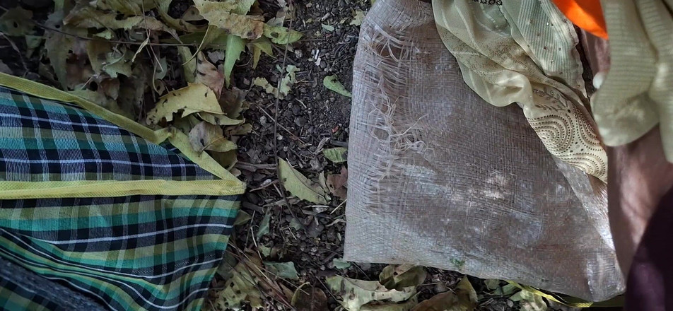 Kishori Prakashbhai: Bhabhi knullade i djungeln