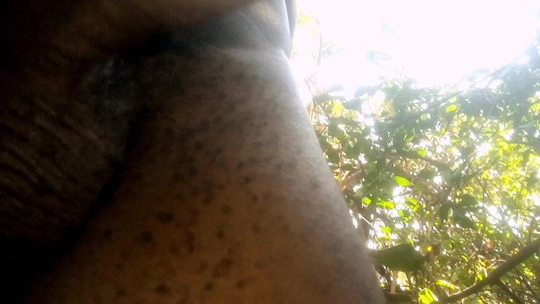 Judith xxx: Perjalanan semak