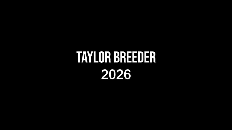 Taylor Breeder: ラストフルコンバット3 - ウルトラショートエディション