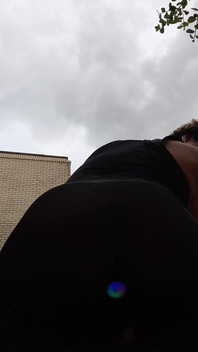 Bee's Anal Illumination