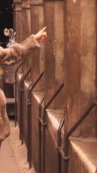 Inseguendo la sua coda