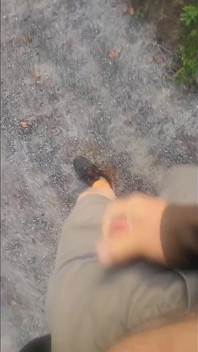 Sono andato a fare una passeggiata alla fermata del camion