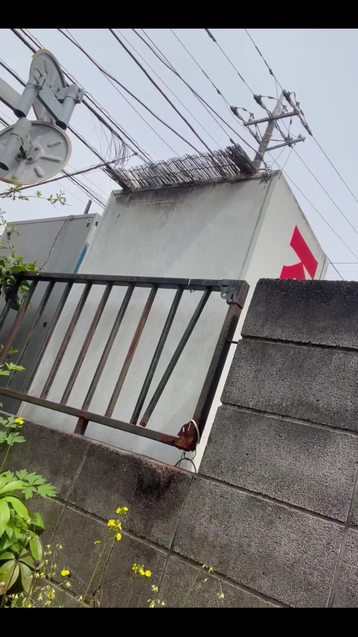 Japanese daddy: मुझे साइकिल चलाना पसंद है