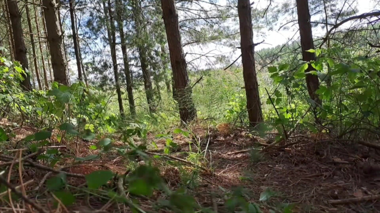 Ole63: Îmi place natura și masturbez pula mea.