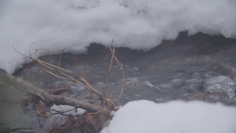 Himeros.tv: 在大自然中裸体