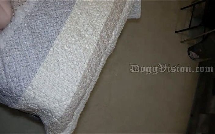 DoggVision: Толстая волосатая киска из в рот на лицо в видео от первого лица